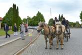 Horse and carriage rides